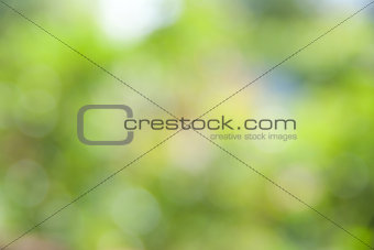 yellow green bokeh abstract light background