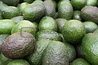 Set of avocados