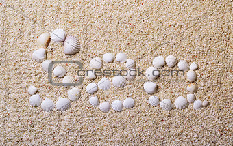 Title "Sea" from shells with coral sand