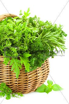 Fresh Spicy Herbs in Basket / isolated on white 