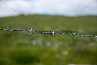 barbed wire on the background  green grass