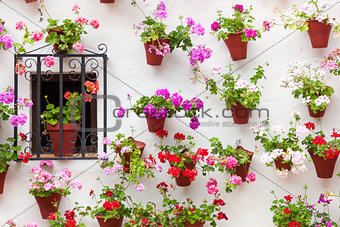 Beautiful Window and Wall Decorated Flowers - Old European Town,