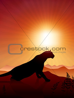 Lion on Sunset Background