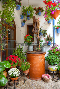 Courtyard with Flowers decorated and Old Well - Cordoba Patio Fe