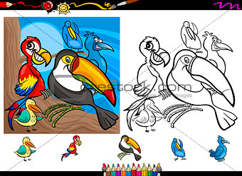 exotic birds cartoon coloring page set