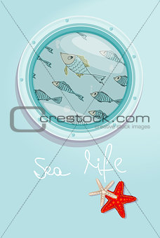 School of fish swimming past a ships porthole