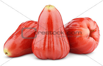 Rose apples or chomphu isolated on white