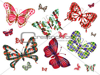 Six different butterflies with Celtic ornament