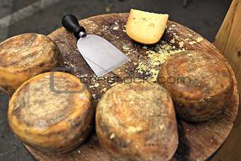 Pecorino cheese on wooden table.