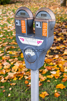 Dual Parking Meter Needs Payment Coin Slot Autumn Downtown
