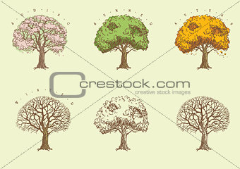Set of trees at engraving style
