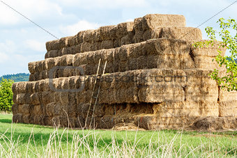 Hay stacks in a field and blue sky 