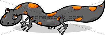 salamander animal cartoon illustration