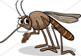 mosquito insect cartoon illustration