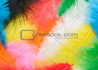 Colorful Feathers Background