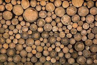 Stacked wood logs