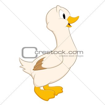 Cartoon Duck