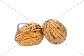 Walnuts on the withe background