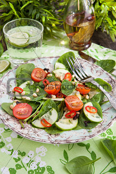 Healthy fresh spring salad 