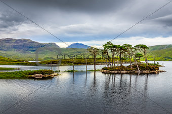 Landscape view of trees in a lake at Scottish highlands