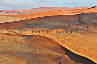 Patterns in the sand of the Namib