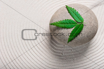 green leaf on a gray stone in the garden