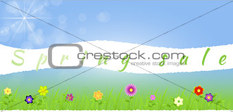 Torn paper middle spring landscape with flowers,grass,raindrops