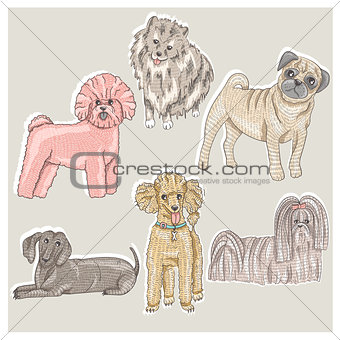Set of cute little breed dogs. Bichon, pug, spitz, dachshund, po