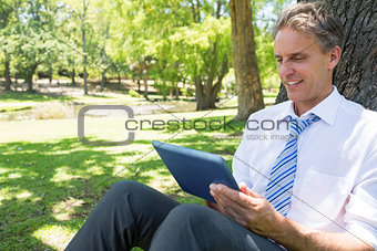 Businessman using digital tablet in park