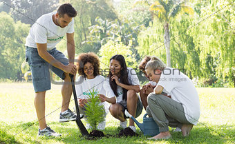 Environmentalists planting in park