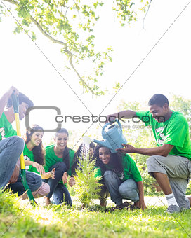 Environmentalists watering plant