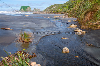 Small Stream Flowing Into the Sea
