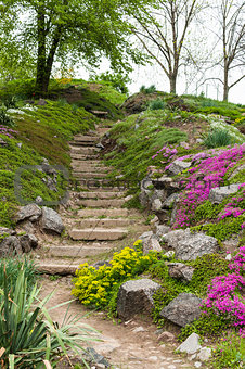 Stone stairs in the park surrounded by flowers