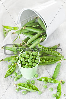 Green pea in the buckets