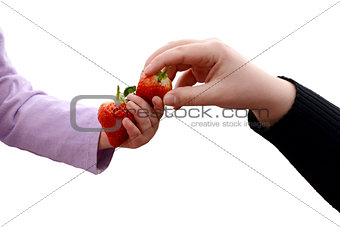 Toddler and adult sharing two fresh strawberries