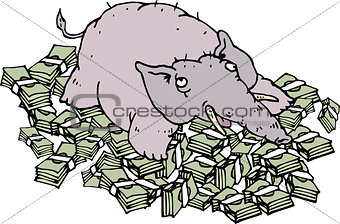 rich elephant lying on money