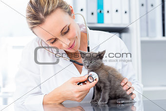 Vet examining kitten with stethoscope