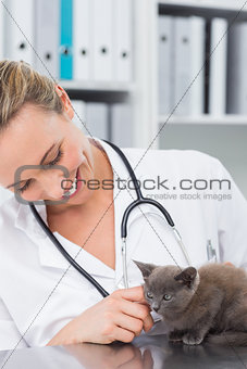 Vet examining kitten
