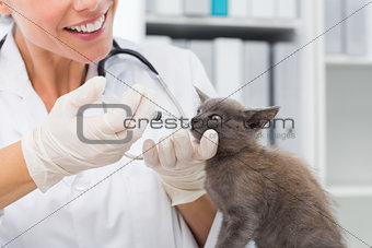Vet giving cat medicine through mouth
