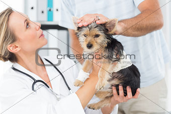 Owner with puppy visiting veterinarian