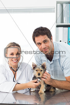 Veterinarian examining puppy with man
