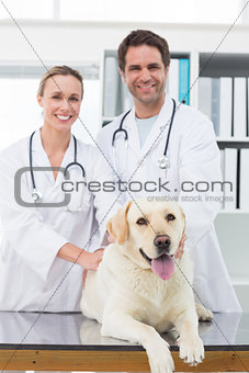 Confident vets examining dog