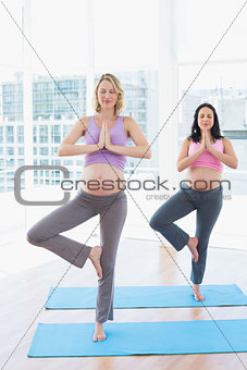 Relaxed pregnant women in yoga class in tree pose