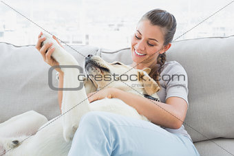 Happy woman petting her yellow labrador on the couch