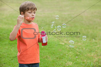 Boy blowing soap bubbles at park