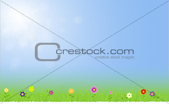 Spring landscape with flowers,grass,raindrops with sky with ray of lights
