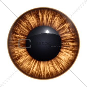 brown eye texture
