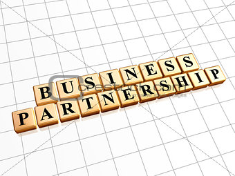 business partnership in golden cubes