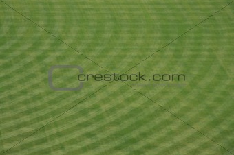 Petco Park Stadium Outfield