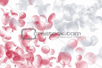 Red and White Blood Cells Mixing